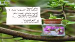 دانلود آهنگ نوک ممه حرمیه